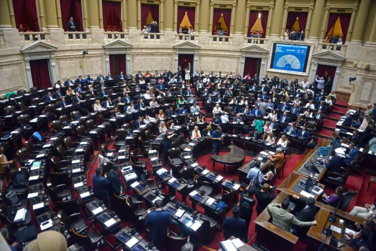 Debate Intenso en la Cámara de Diputados sobre la Ley Ómnibus