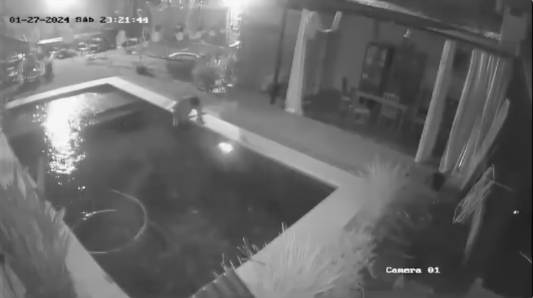 Video Sensible: Detienen a un joven delincuente tras atroz asesinato de una mascota para robar