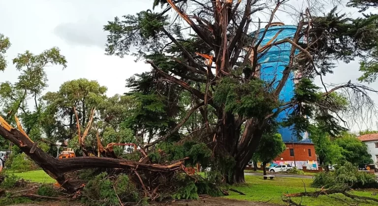 Miramar: un joven muerto y una mujer herida tras el temporal