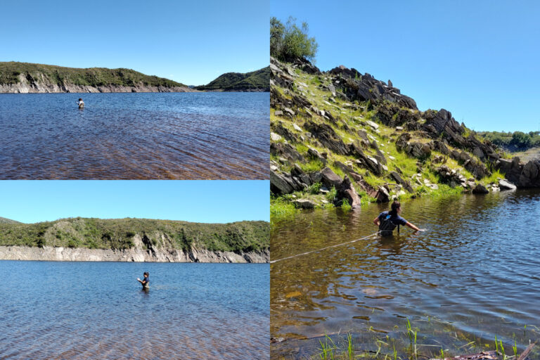 San Luis Agua implementa monitoreo exhaustivo para la siembra de alevines de pejerrey