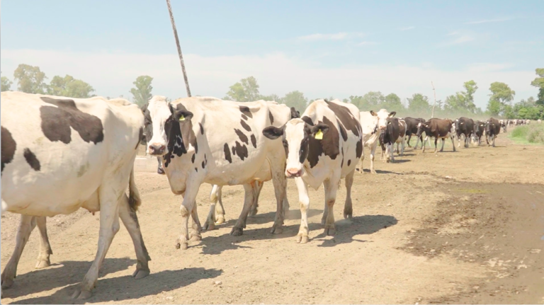 productores y tamberos