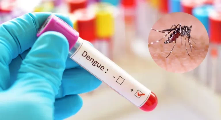 ¿Cuánto sabemos del Dengue?