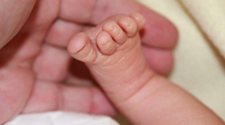 Encontraron a un bebé recién nacido abandonado en descampado