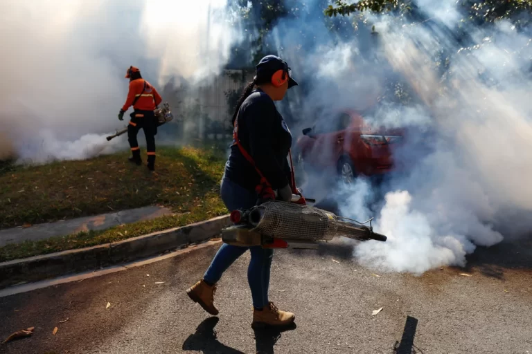 El dengue ya mató a 50 personas en Paraguay