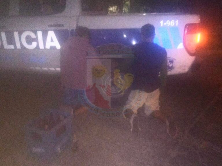 Dos hombres detenidos por robar en una casa