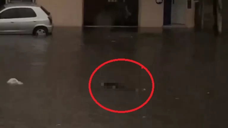 Un Cuerpo apareció Flotando en Medio del Temporal en Valentín Alsina