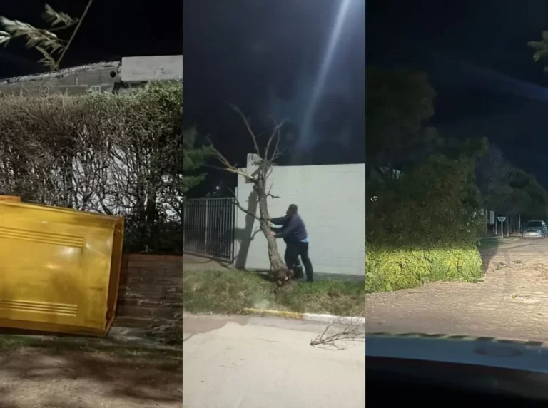 Temporal: fuertes ráfagas de viento azotaron a la ciudad de La Punta