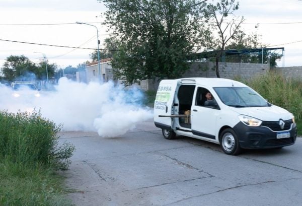 Alerta contra el dengue: la Municipalidad intensifica acciones de prevención en terrenos abandonados