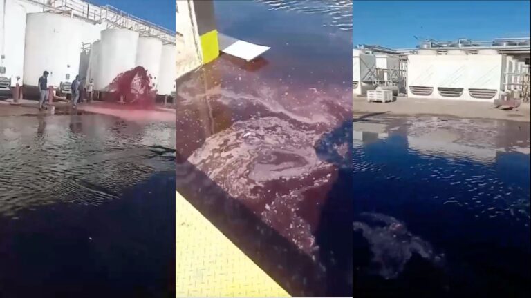 Se perdieron 15.000 litros de vino por un insólito error en una bodega de Mendoza