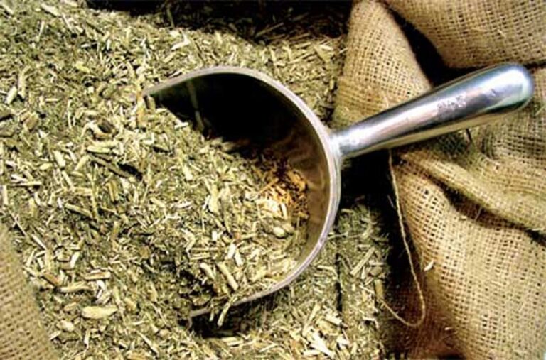 Desregulación de precios de yerba: rumbo a una posible alza