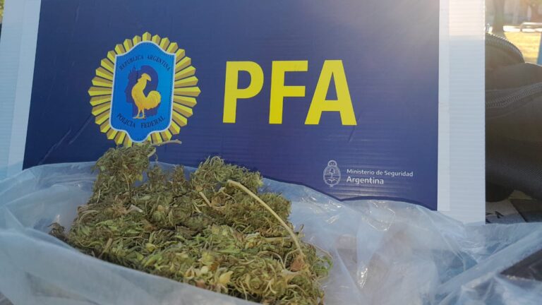 Villa Mercedes: un detenido con tenencia de estupefacientes cerca de una escuela