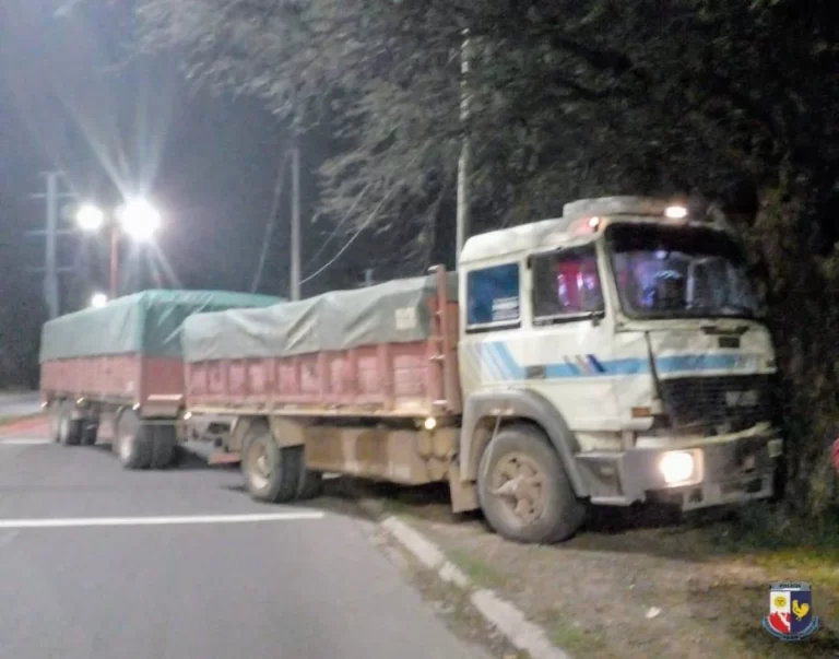 Villa Mercedes: camión en marcha choca contra un árbol cerca del Parque La Pedrera