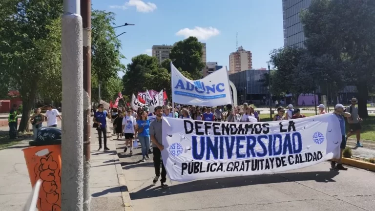 ¿Defender la educación pública te hace ser antilibertario?