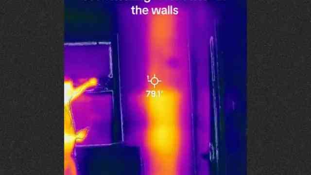 Niña aseguraba escuchar ruidos en las paredes de su dormitorio, la demolieron y se encontraron con miles de abejas