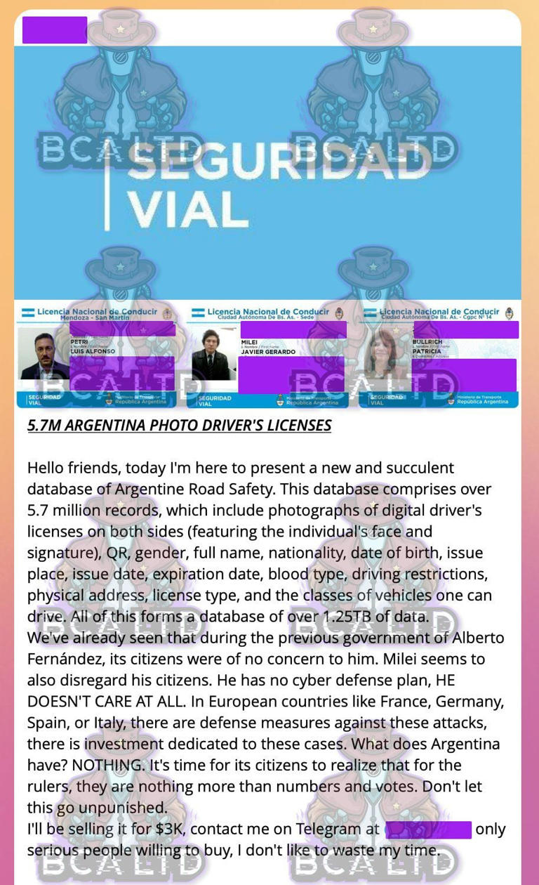 Hackers venden casi 6 millones de carnets de conducir argentinos