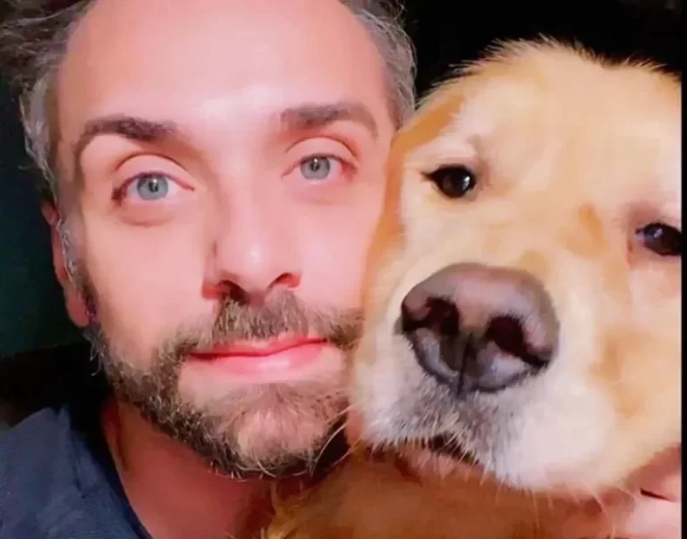 Tragedia en los cielos: el error de una aerolínea lleva a la muerte de una mascota