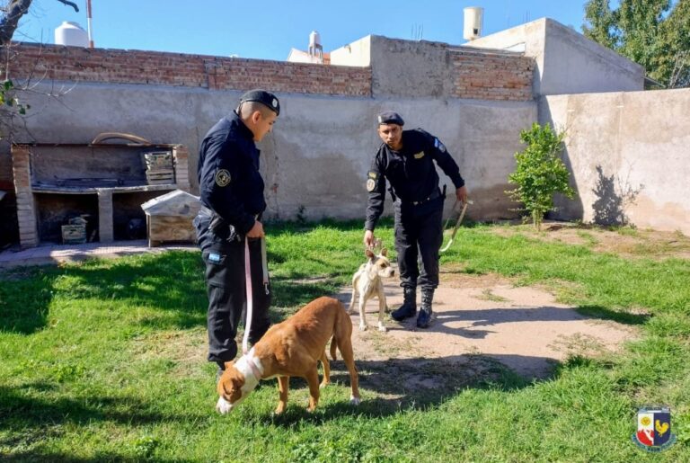 La Policía de San Luis Actuó Contra Maltrato Animal