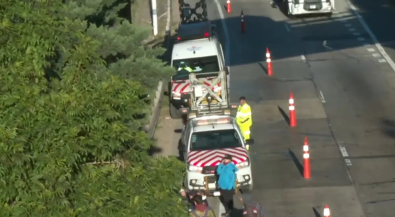 Delincuente murió al tirarse de un puente