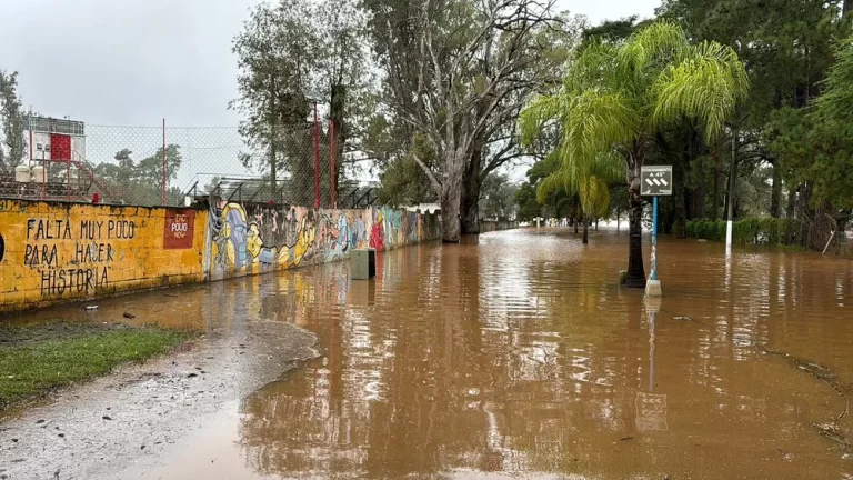 Crisis en Concordia: Evacuados por Crecida del Río Uruguay