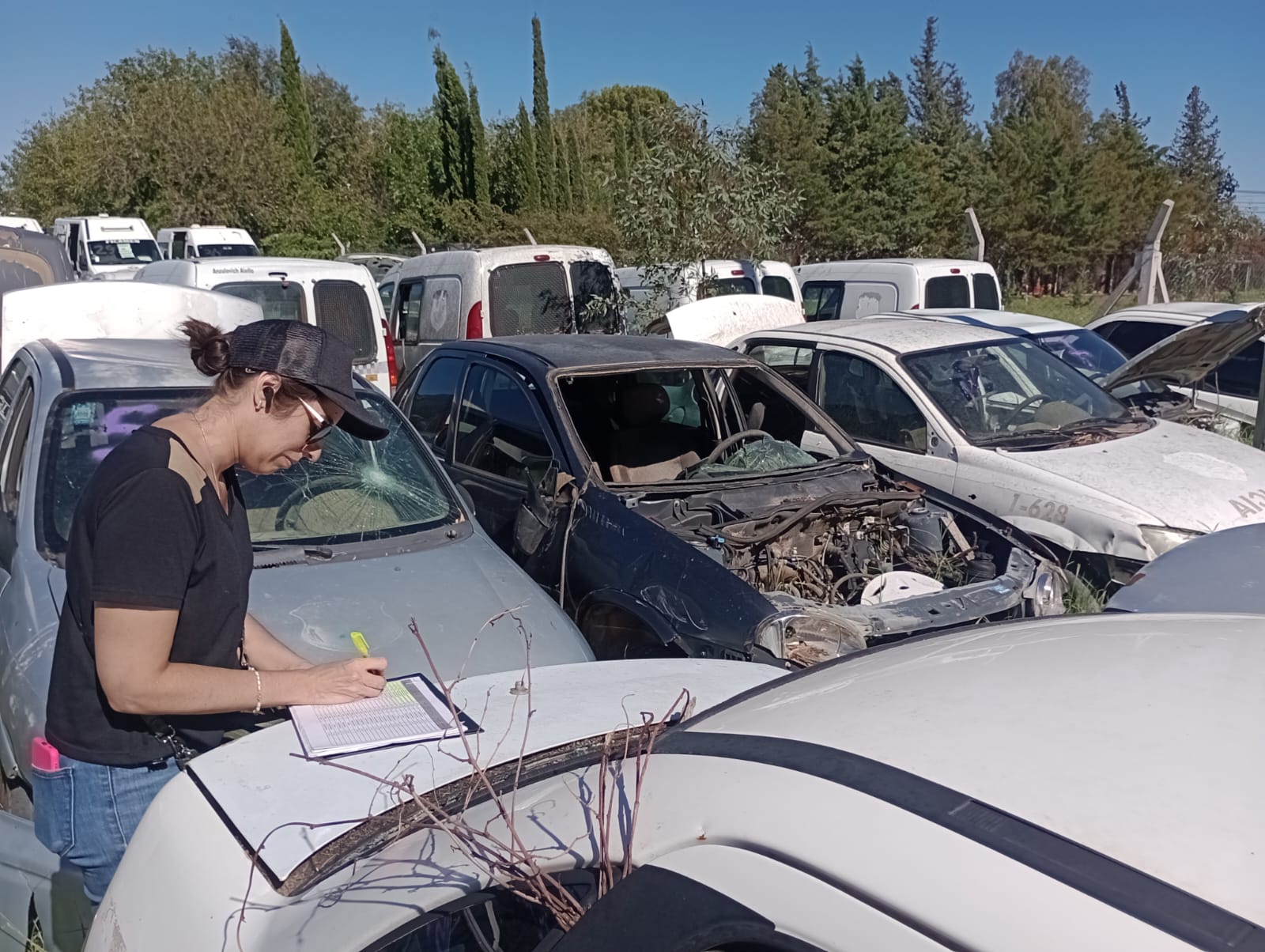 confirmaron que preparan un nuevo remate para fin de año