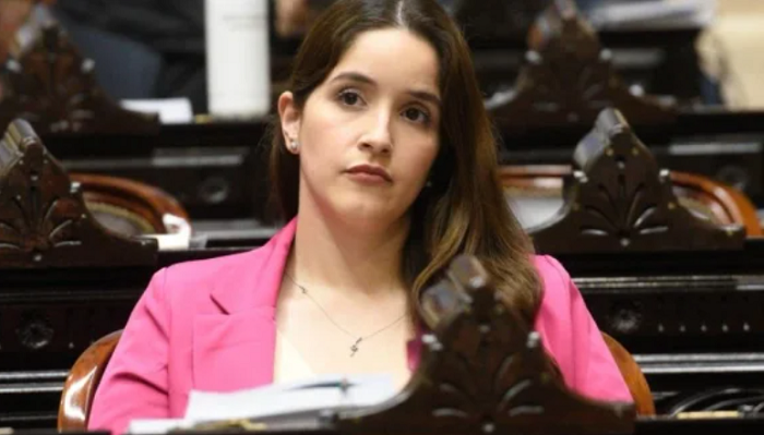 ¿Se equivocó? diputada libertaria votó a favor de su propia expulsión por visitar a represores