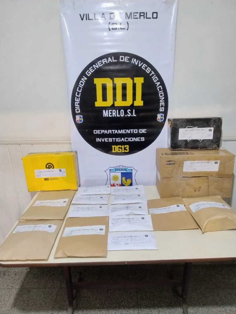 Merlo: tras allanamientos detuvieron a dos delincuentes por asaltar a una jubilada