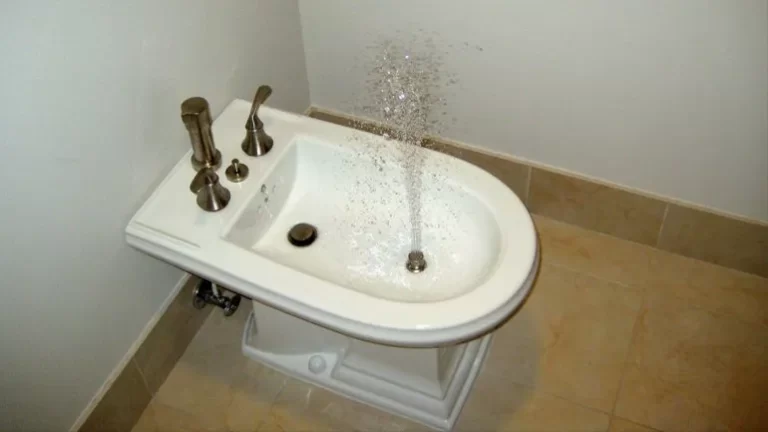 La historia del bidet en la Argentina