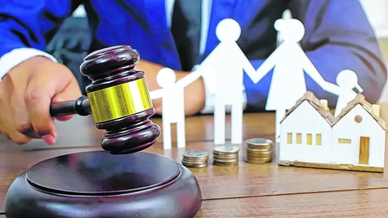 Ley Cuota Alimentaria