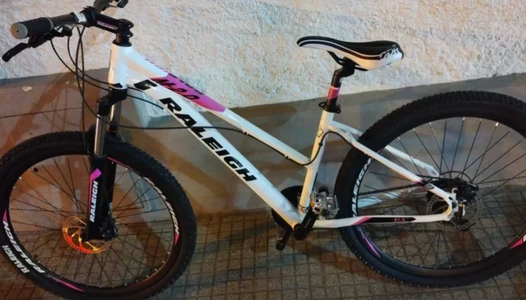 Jóvenes emprendedores de Villa Mercedes buscan recuperar bicicleta robada
