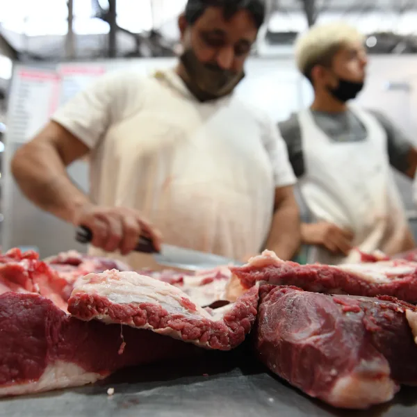 Caída del consumo: el precio de la carne baja un 16% en medio de la crisis.