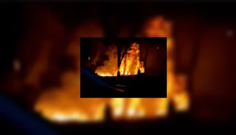 Tragedia en la ruta 9: tres adultos y un menor mueren al incendiarse un vehículo.