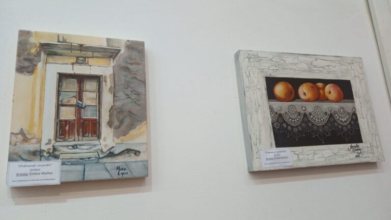 Arte y reciclaje en Casa de la Música: La muestra de Emilce Muñoz