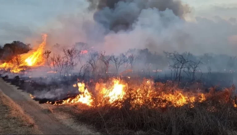 El humo de los incendios causó un choque mortal en Potrerillos