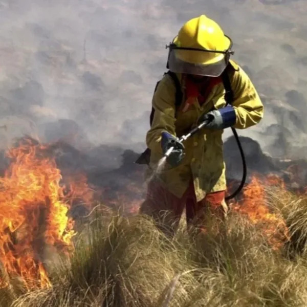 Emergencia en Córdoba: aviones hidrantes y bomberos luchan contra incendios forestales
