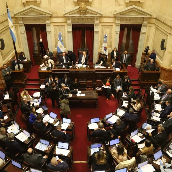El Senado debatirá la boleta única de papel y el financiamiento universitario