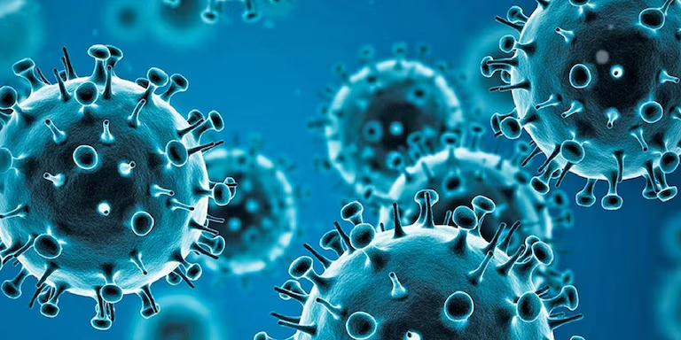 Influenza B: Qué es y cuáles son los síntomas del virus detectados en la niña que falleció tras un viaje de egresados