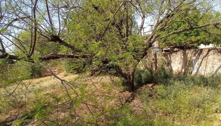 Vecinos exigen la limpieza de un baldío frente a las 960 Viviendas