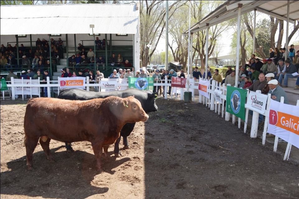 expo-rural-rio-v