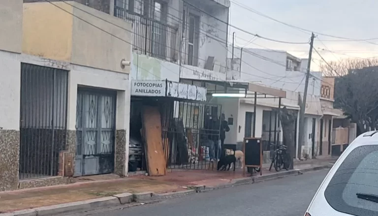 Encuentran a un hombre sin vida en un garage de San Luis. Era una persona en situación de calle, falleció de un ataque cardíaco