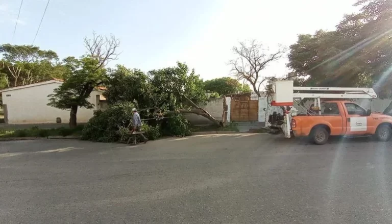 Los resultados de la tormenta en toda la provincia