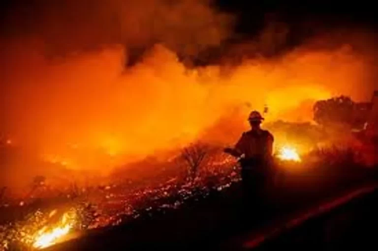 Asciende a 16 la cifra de muertos por incendios forestales en Los Ángeles