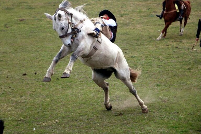 Juan Jorba se viste de fiesta con el 12º Festival Provincial de Jineteada y Folclore