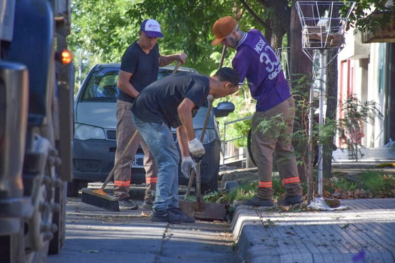 Cuadrillas trabajan en el operativo de limpieza tras el temporal en Villa Mercedes