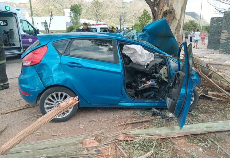 Un hombre muere al impactar su auto contra un árbol en San Luis