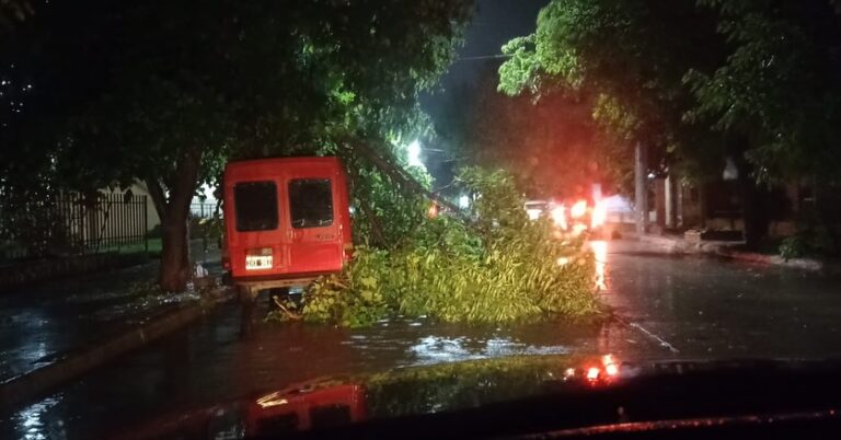 Una furiosa tormenta golpeó Villa Mercedes: hubo daños y alerta general