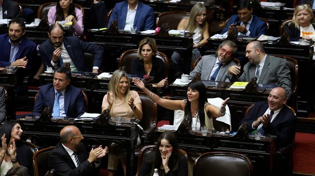 Media sanción para Ficha Limpia: el debate sigue en el Senado