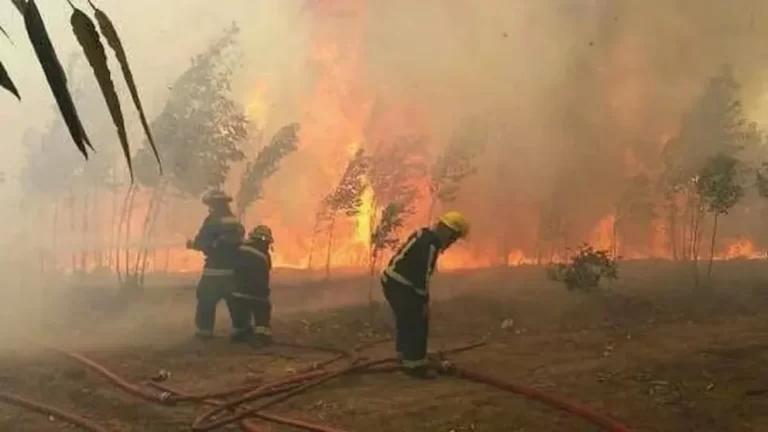 Neuquén en llamas: el fuego devora 15.000 hectáreas en menos de un día