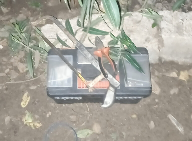 Villa Mercedes: Detienen a un joven por robo en una vivienda