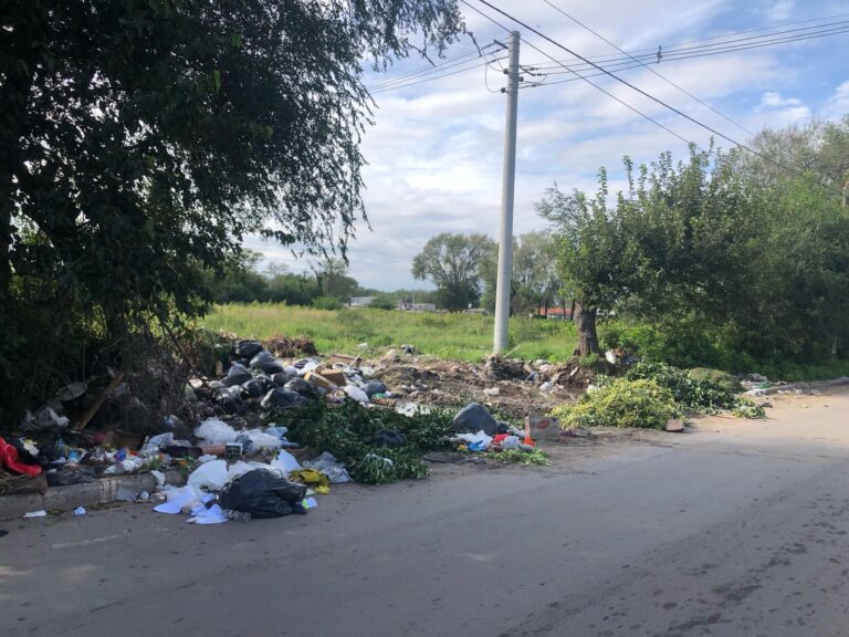 Baldíos convertidos en basurales: ¿Multas o expropiaciones como solución?