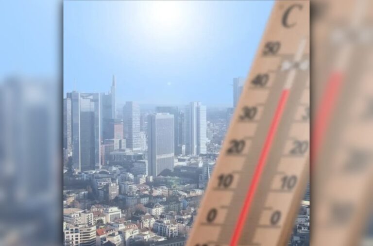 Cambio climático: Argentina registró la peor anomalía climática de Sudamérica en el 2024